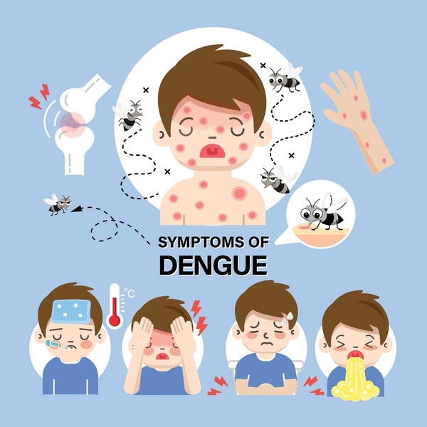 illustration-dengue-fever-symptoms-infographics-600nw-2353069131.webp